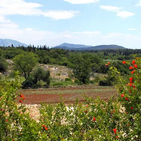 With Parking Space Mocici, Dubrovnik - 12856 Čilipi