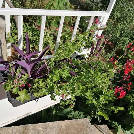 With Parking Space Mocici, Dubrovnik - 12856 *