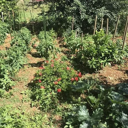 With Parking Space Mocici, Dubrovnik - 12856 Apartman Čilipi