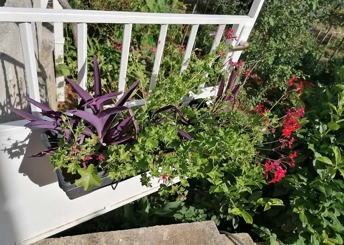 With Parking Space Mocici, Dubrovnik - 12856 *